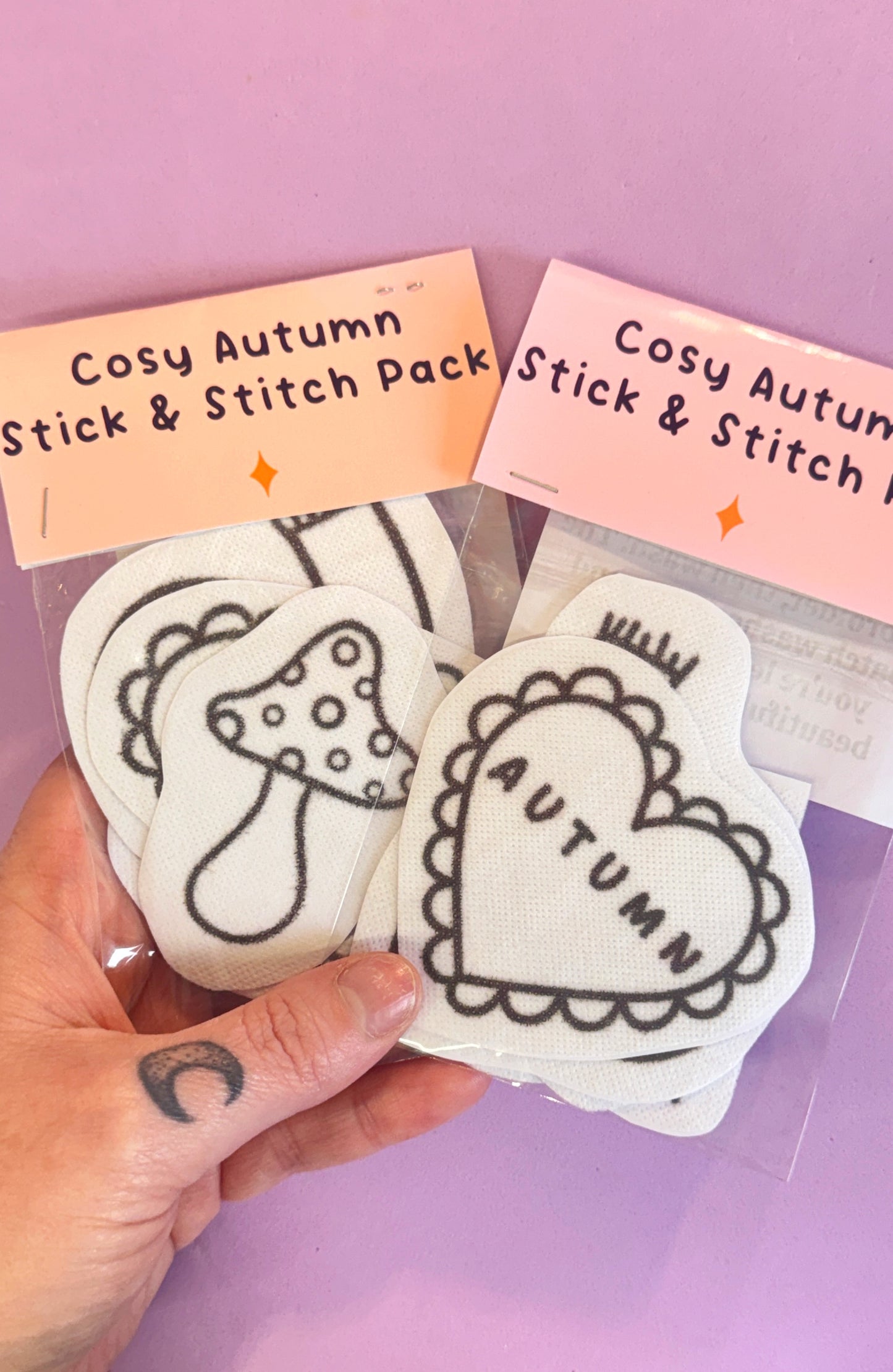 Autumnal Stick & Stitch Embroidery Pack