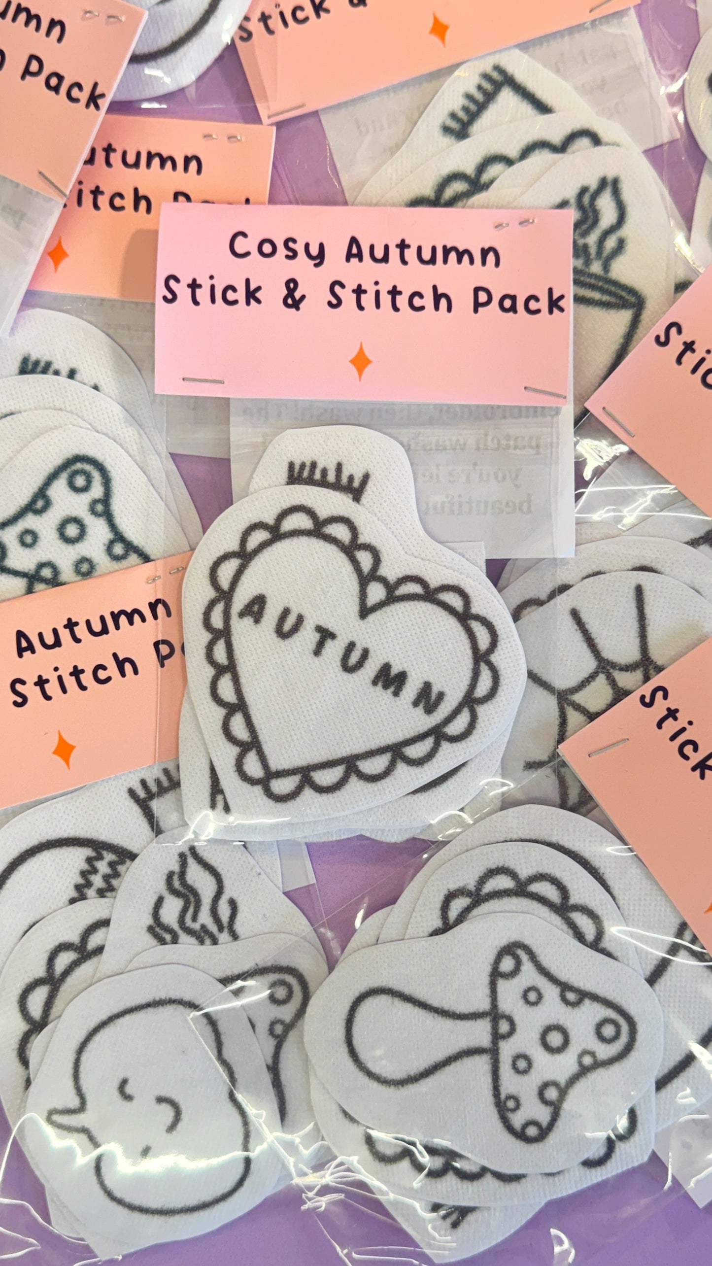 Autumnal Stick & Stitch Embroidery Pack