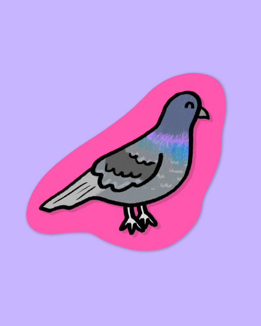 Pigeon Sticker